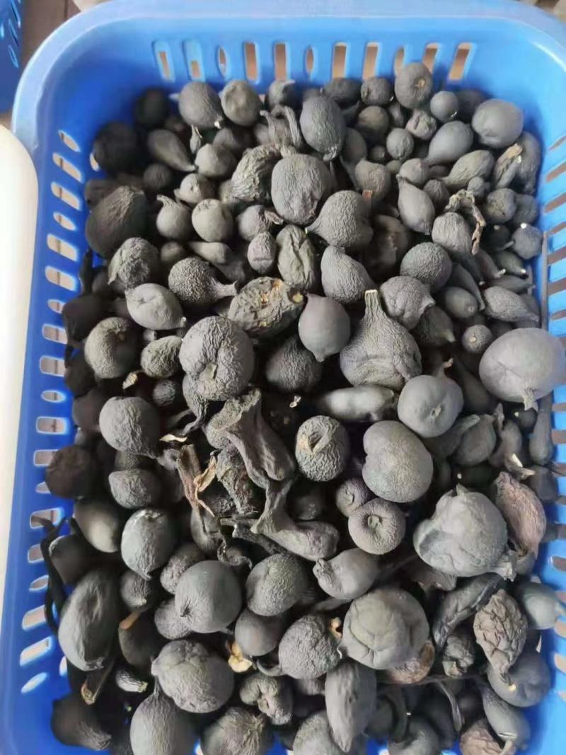 地乌金丝线吊金钟
