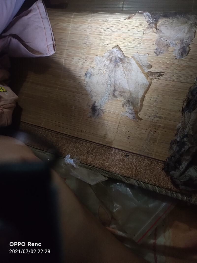蟾蜍衣出售