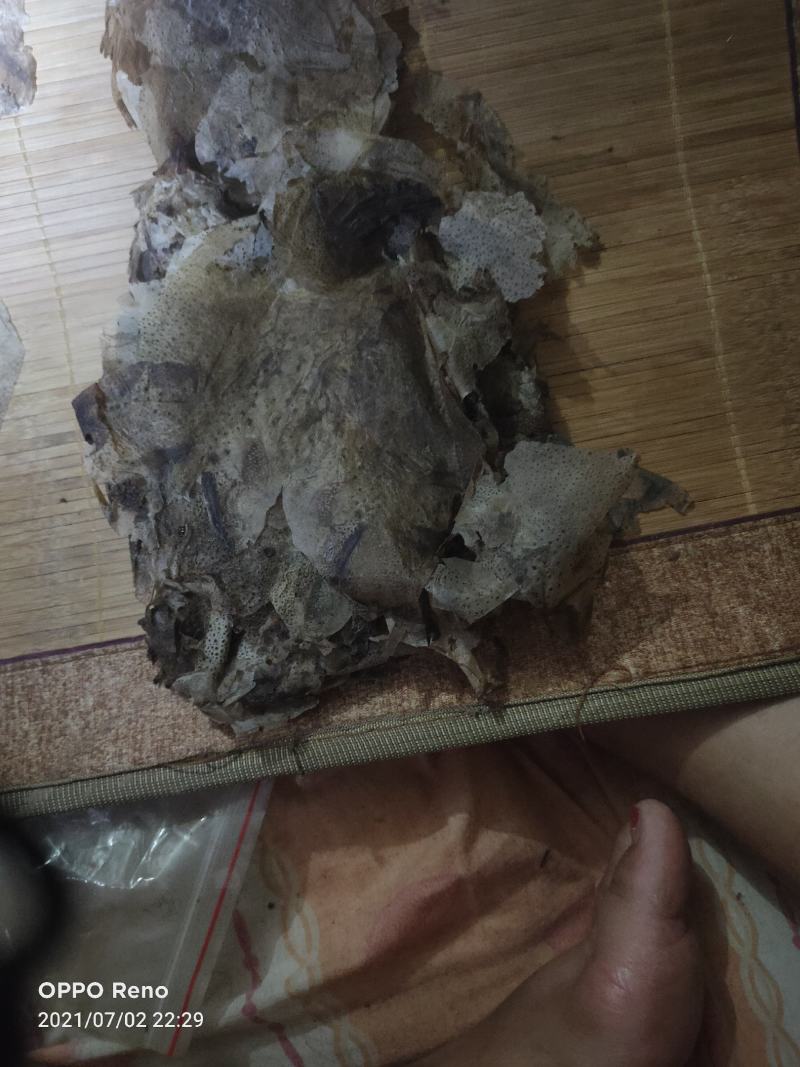 蟾蜍衣出售