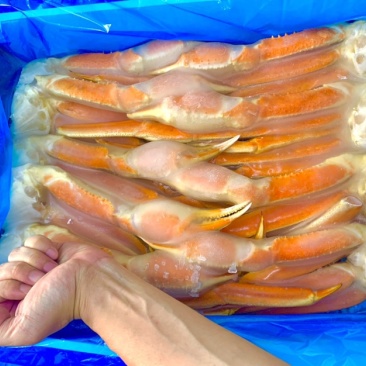 雪蟹脚！肉质饱满！味道香甜！自助餐，西餐厅主打品牌