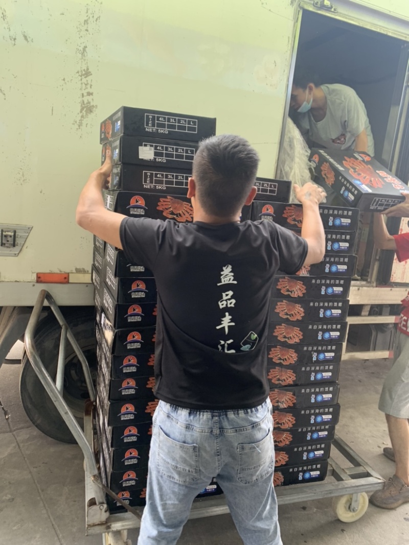 雪蟹脚！肉质饱满！味道香甜！自助餐，西餐厅主打品牌