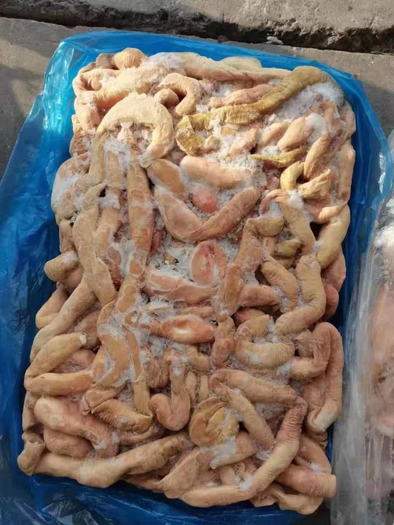 牛大肠，牛小肠，牛三代，圆肠，一手货源，全国冷链发货