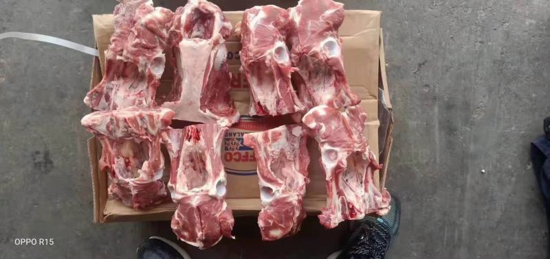 大羊胯骨羔羊胯骨，质量好，肉多，一手货源，全国冷链发货，