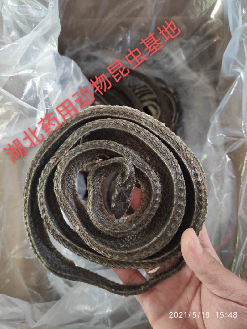 乌梢蛇正品饮片货药厂货合法手续