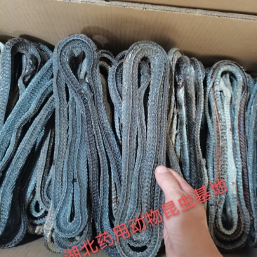 乌梢蛇正品饮片货药厂货合法手续