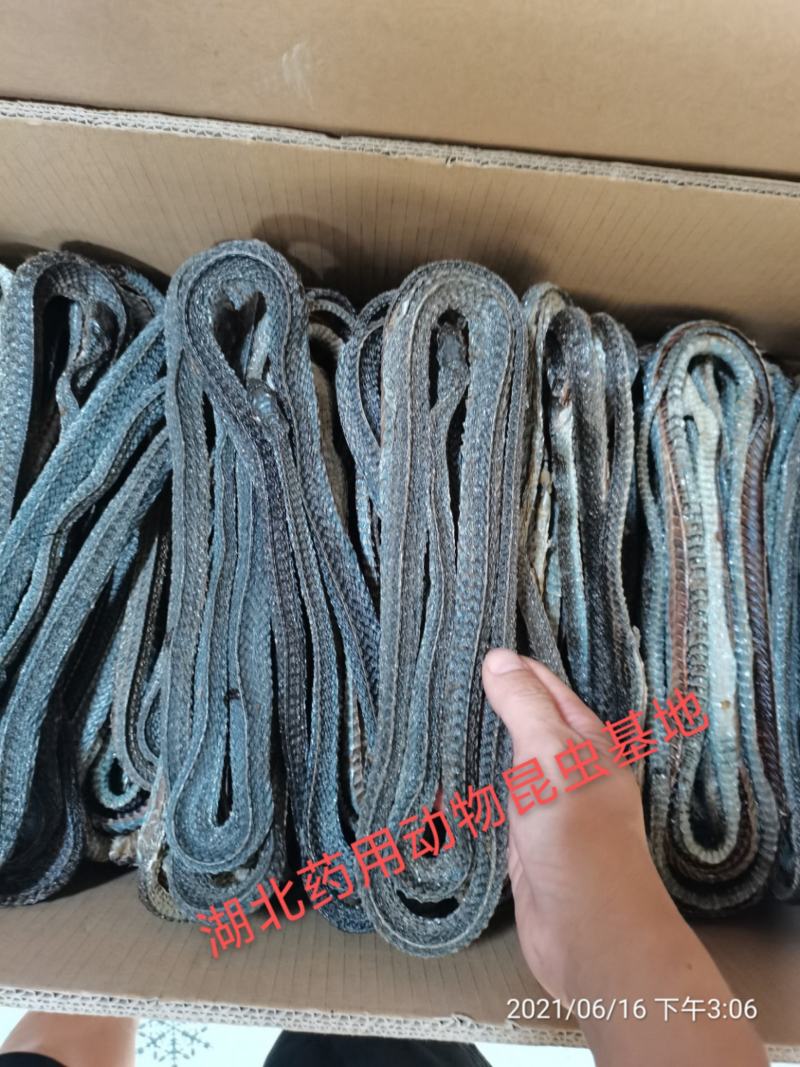 乌梢蛇正品饮片货药厂货合法手续