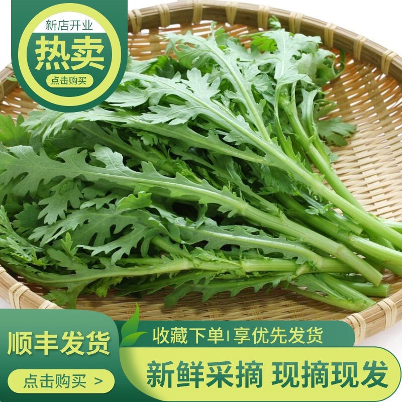 河北精品茼蒿张北蒿子杆(专业对接整车)万亩基地量大从优