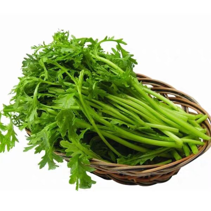 河北精品茼蒿张北蒿子杆(专业对接整车)万亩基地量大从优