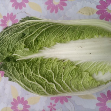 什锦白菜