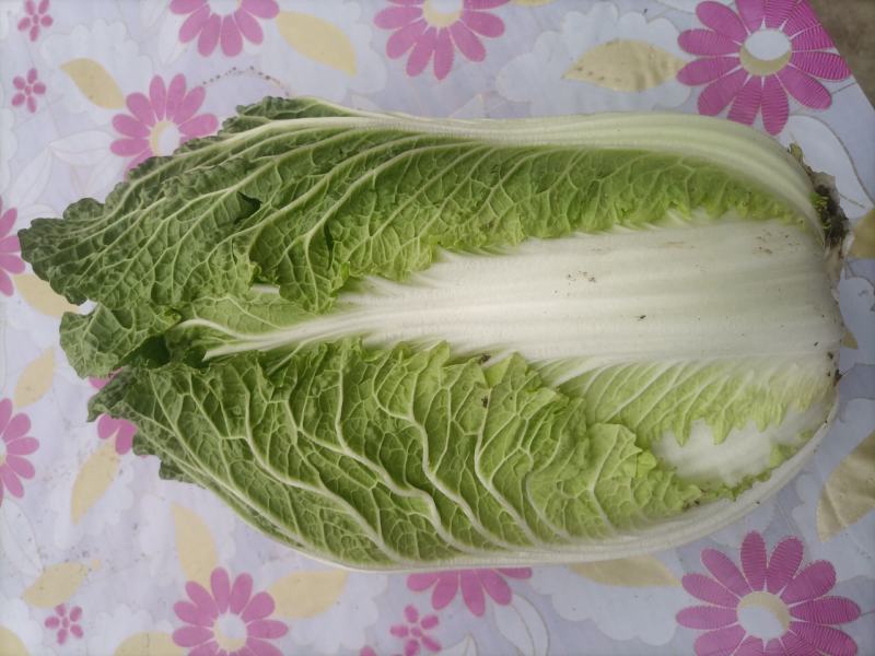 什锦白菜