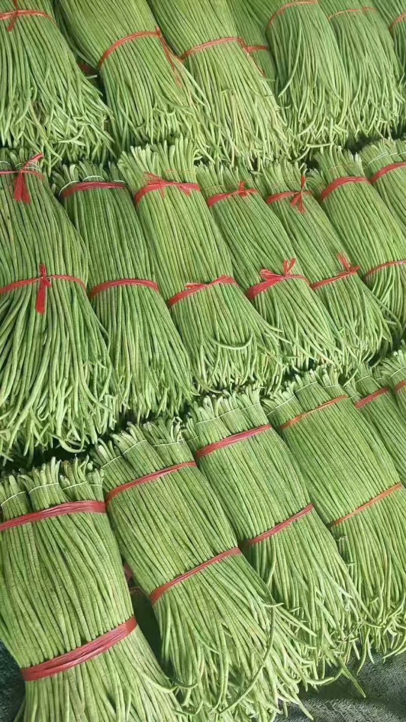 河北邯郸南大堡市场，长豆角大量有货，货源充足，质量精品