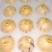 石林黄金人参果大量上市了