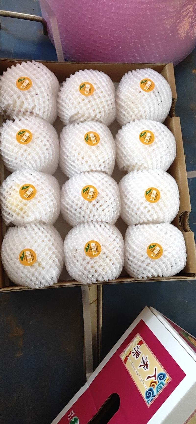 石林黄金人参果大量上市了