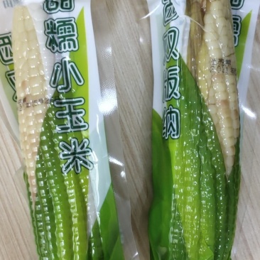 云南甜糯小玉米，工厂直供，一件代发，对接各平台老板