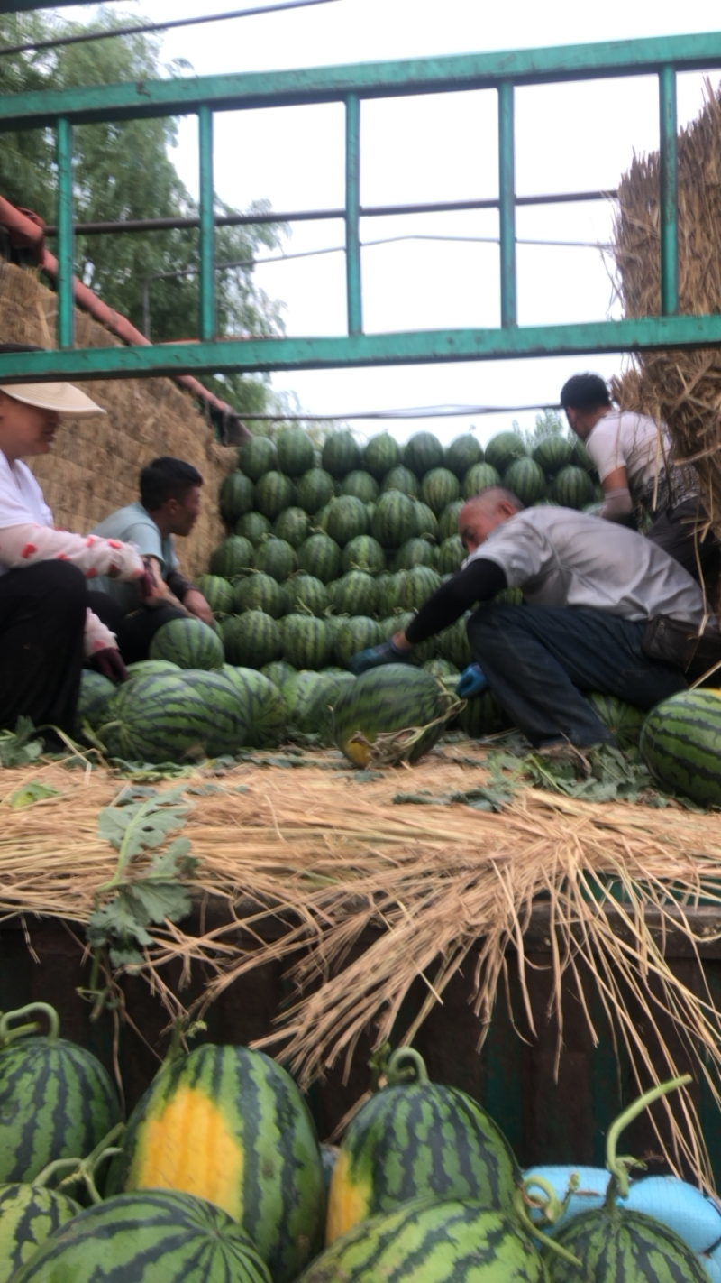 内蒙赤峰陆地，棚瓜，都有，小薄皮，大红瓤。最少13个糖