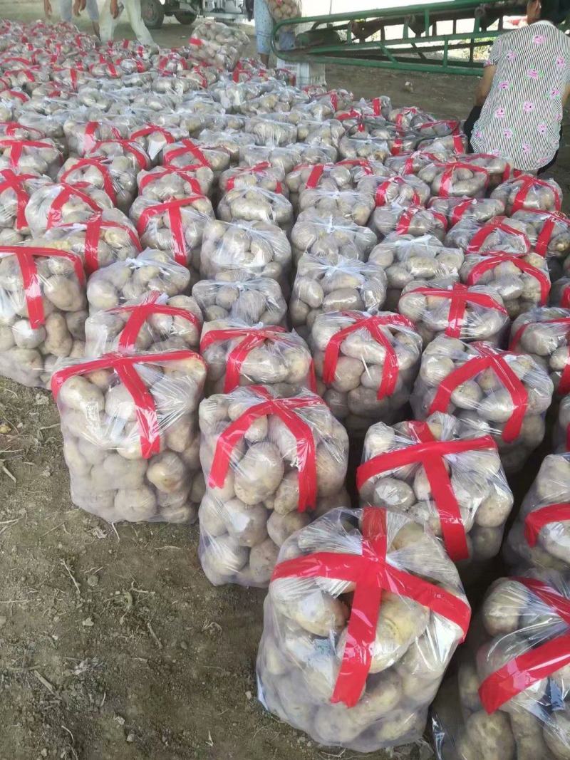 山西吕梁文水精品土豆实验一，沃土，电商，超市，大量供应，