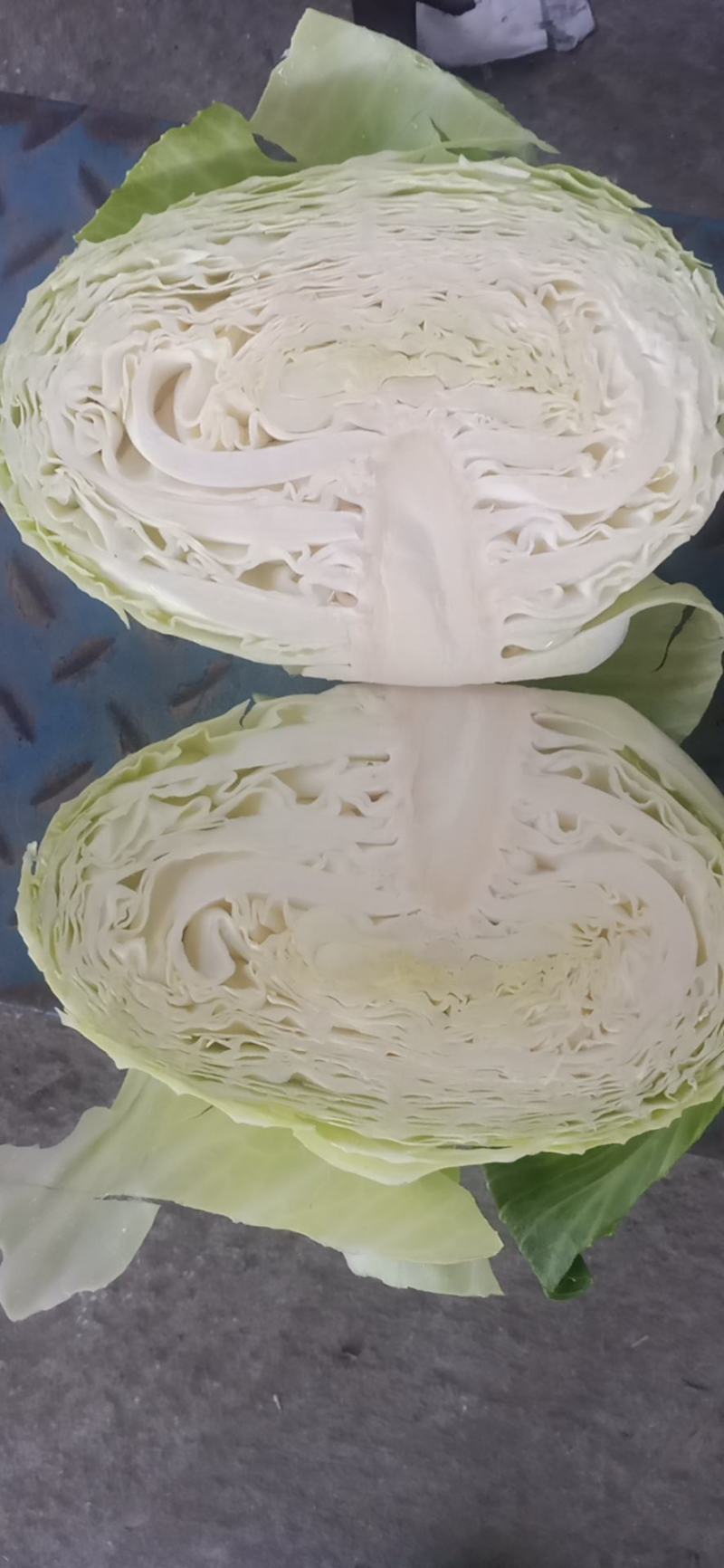 奥奇娜甘蓝扁包菜，3-6斤出口货，4-8斤工厂货，质量好