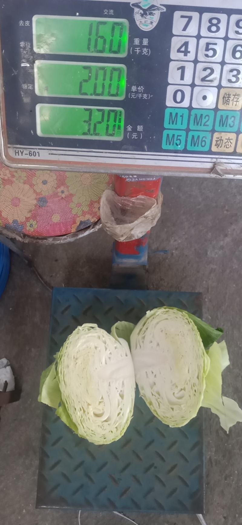 奥奇娜甘蓝扁包菜，3-6斤出口货，4-8斤工厂货，质量好
