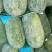 河北衡水万亩冬瓜大量上市中