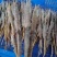 品掌门串虾烧烤材料虾烧烤虾冻虾批发