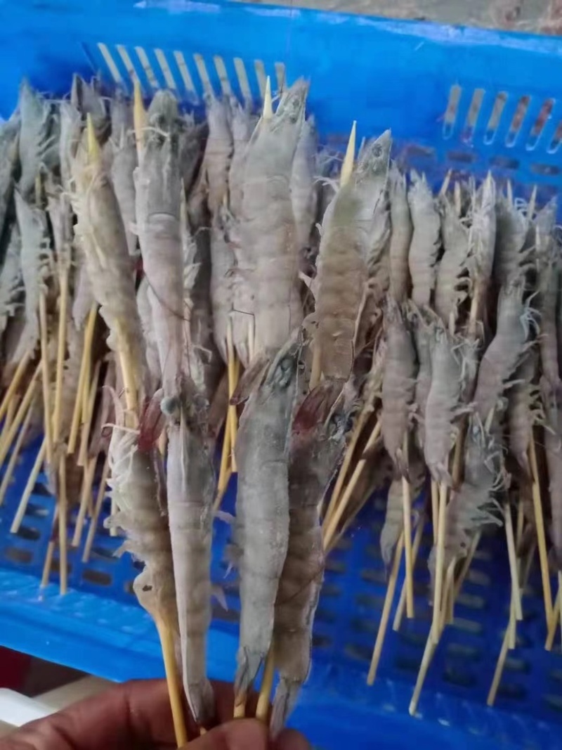 品掌门串虾烧烤材料虾烧烤虾冻虾批发
