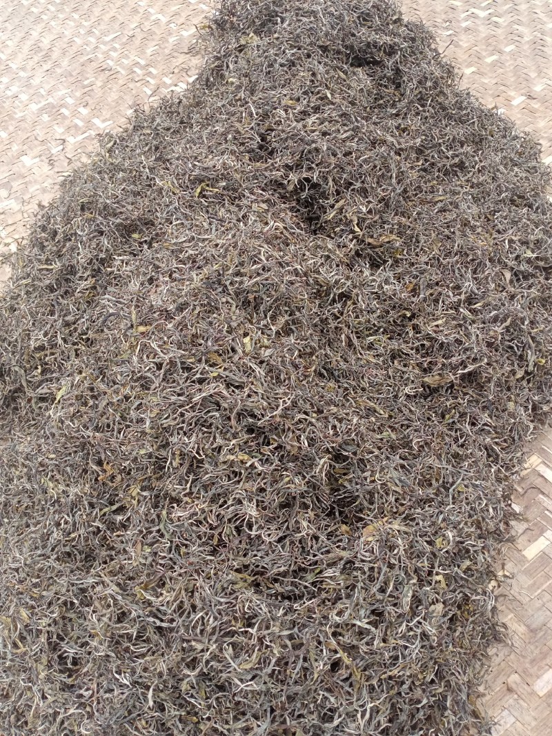 普洱茶