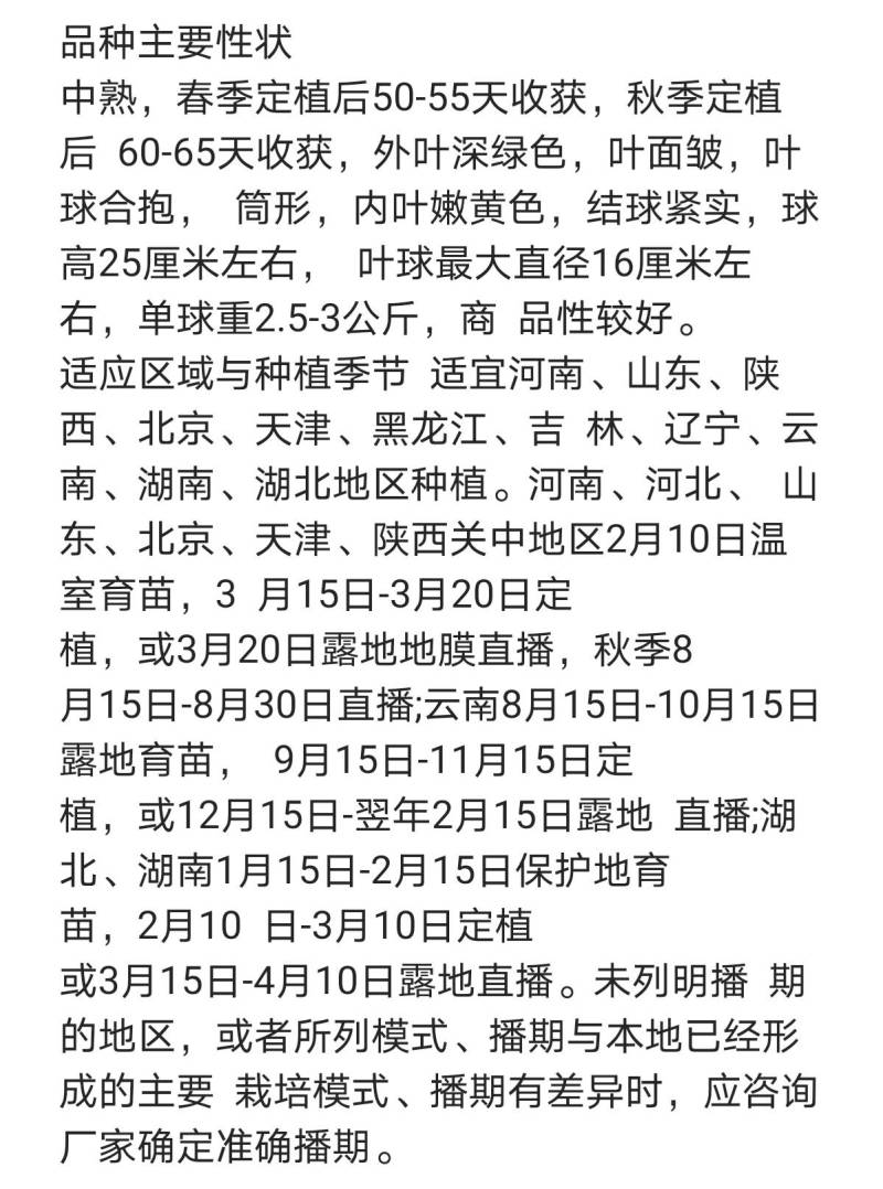 超高品质！臻美黄心大白菜种子，春秋两用，黄芯口感好品质佳