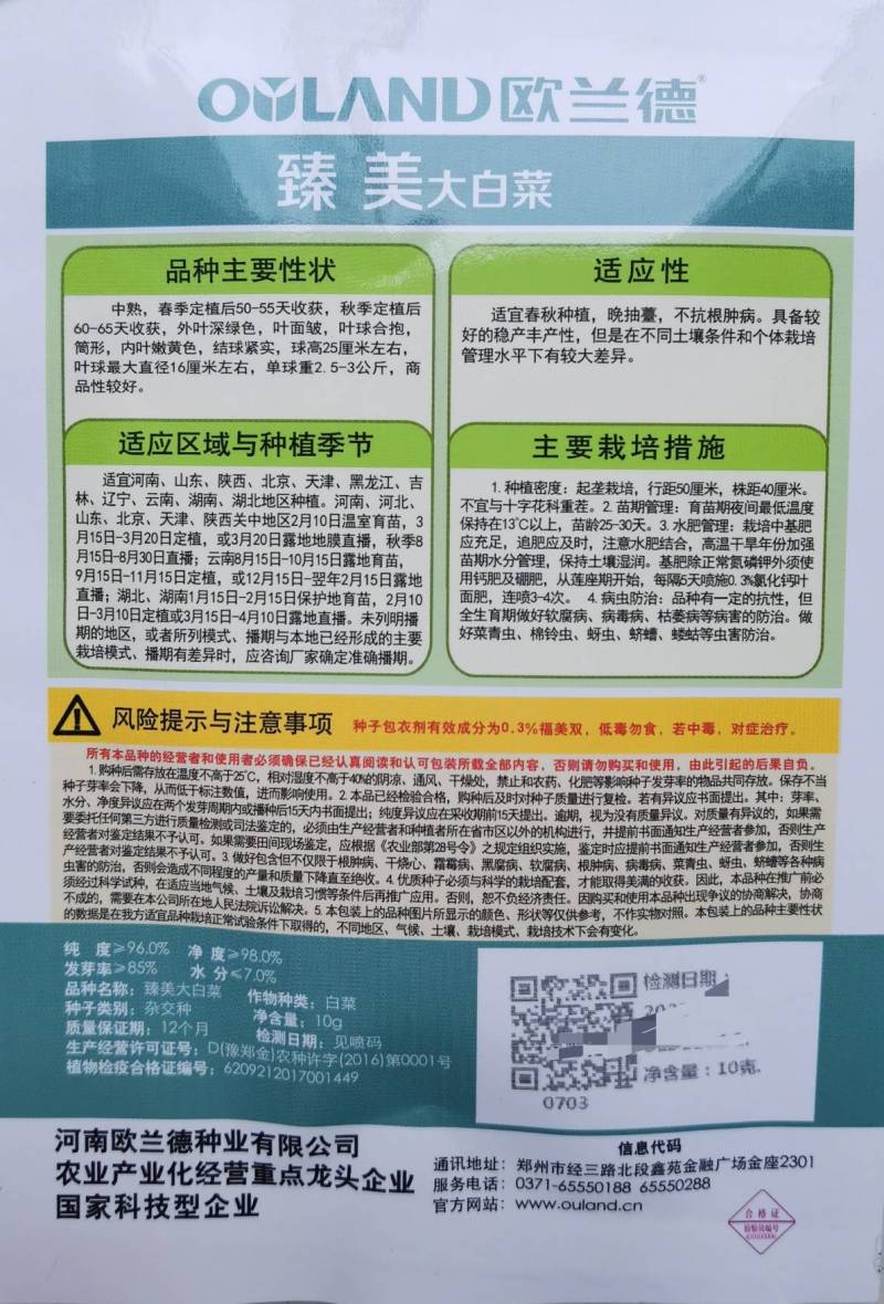超高品质！臻美黄心大白菜种子，春秋两用，黄芯口感好品质佳