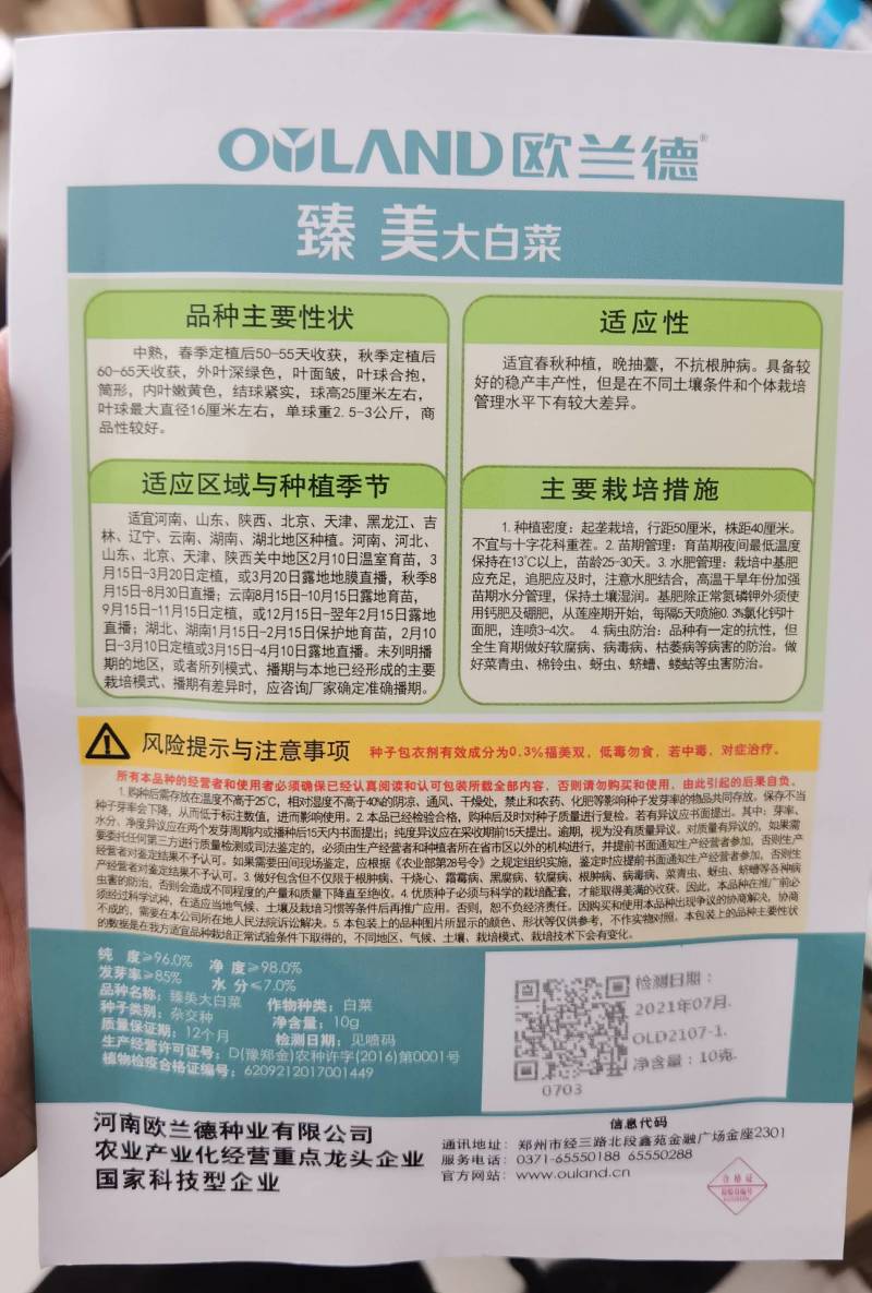 超高品质！臻美黄心大白菜种子，春秋两用，黄芯口感好品质佳