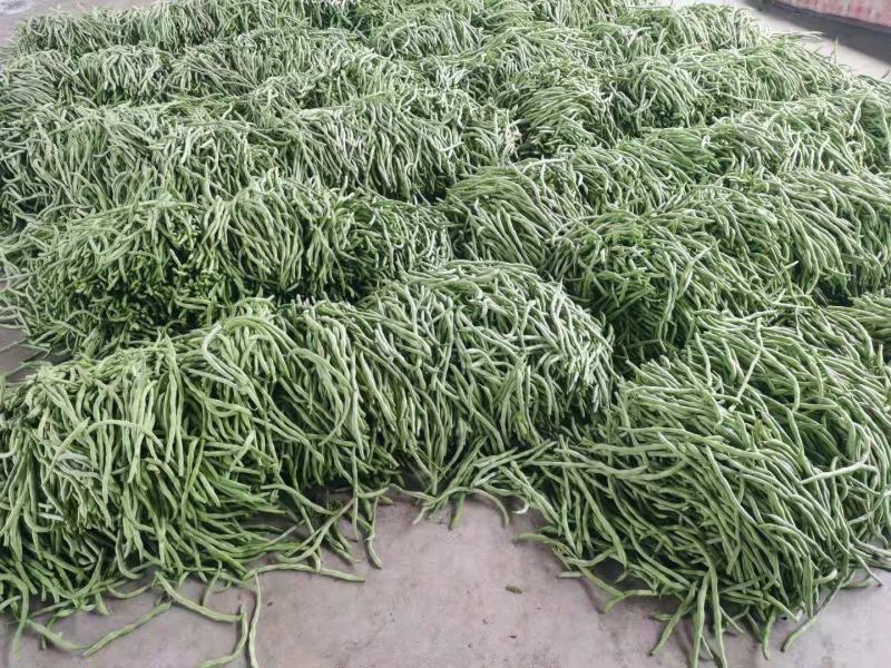 辽宁精品豆王豆角，大量上市，一手货源