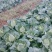 欢迎来电