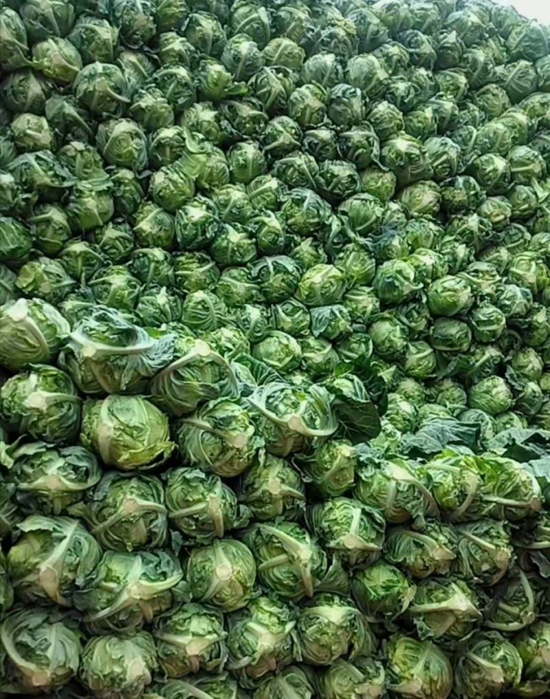 欢迎来电