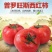 普罗旺斯西红柿新鲜自然熟10山东蔬菜斤时令海阳生吃沙瓤水