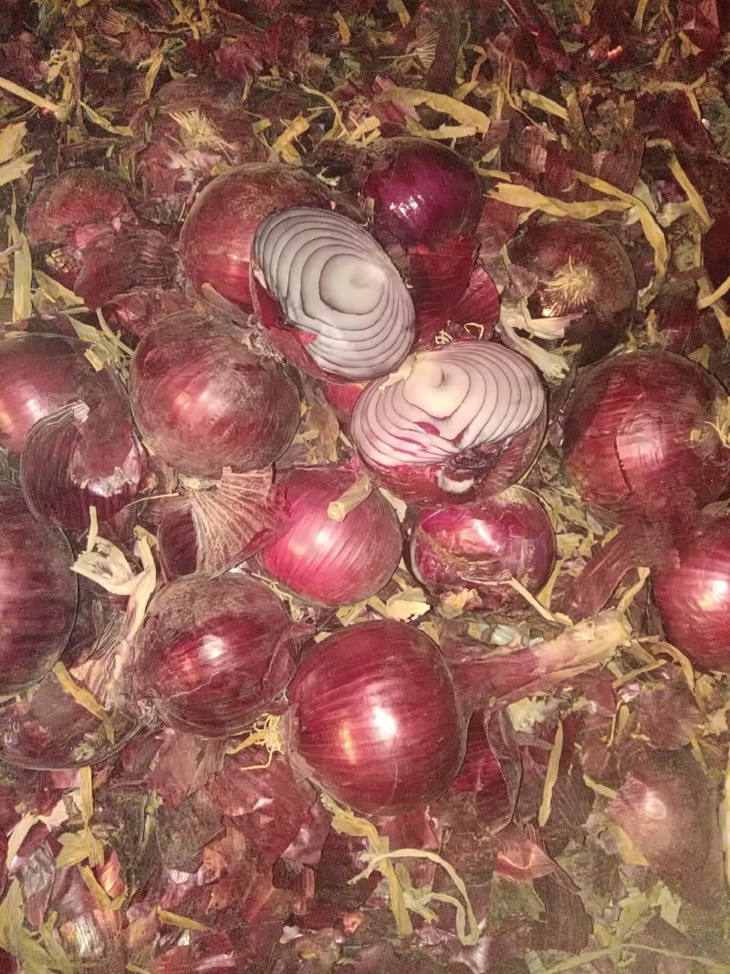洋葱，紫皮洋葱，精品洋葱各品种齐全，全年供货