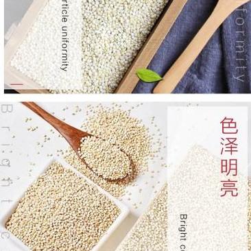 杂粮藜麦米产地直供厚道甘肃地道甘味优质农产品