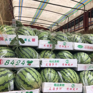 美都