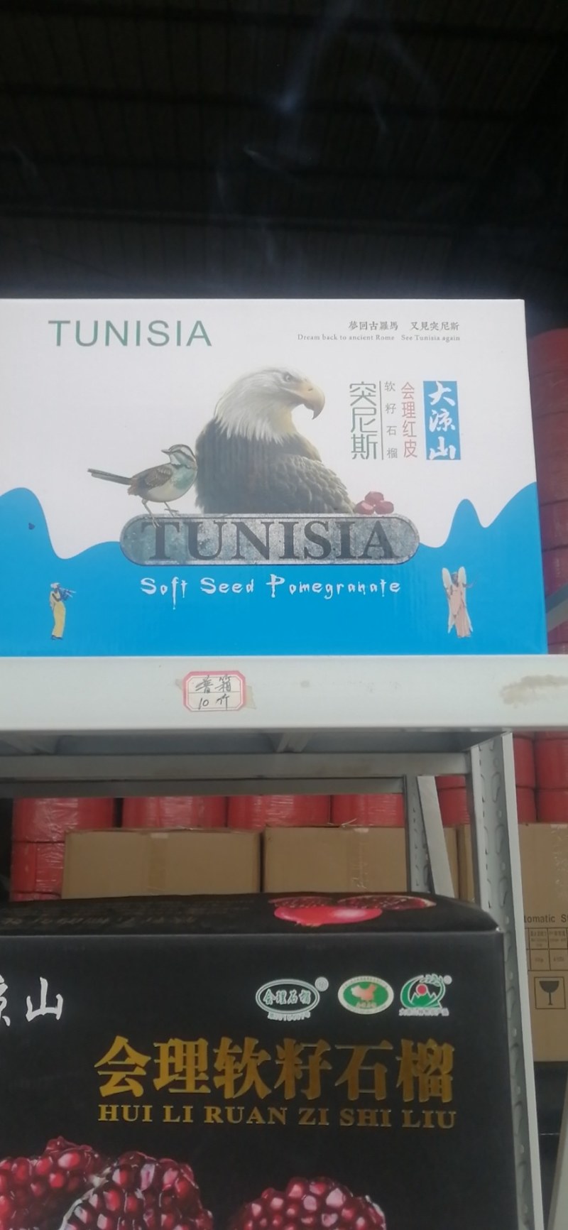 会理突尼斯软籽石榴硬籽石榴