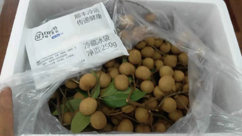 广西平南石硖龙眼新鲜上市优质水果