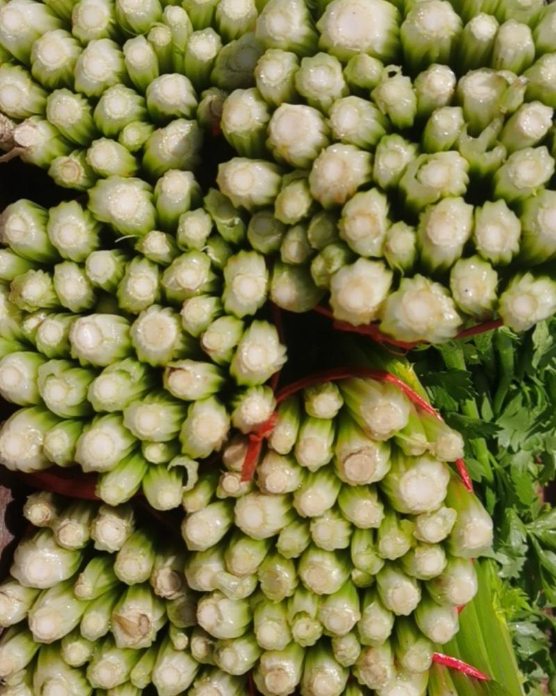 甘肃定西毛芹香芹大量上市一手货源现挖现发欢迎咨询