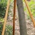 木棒