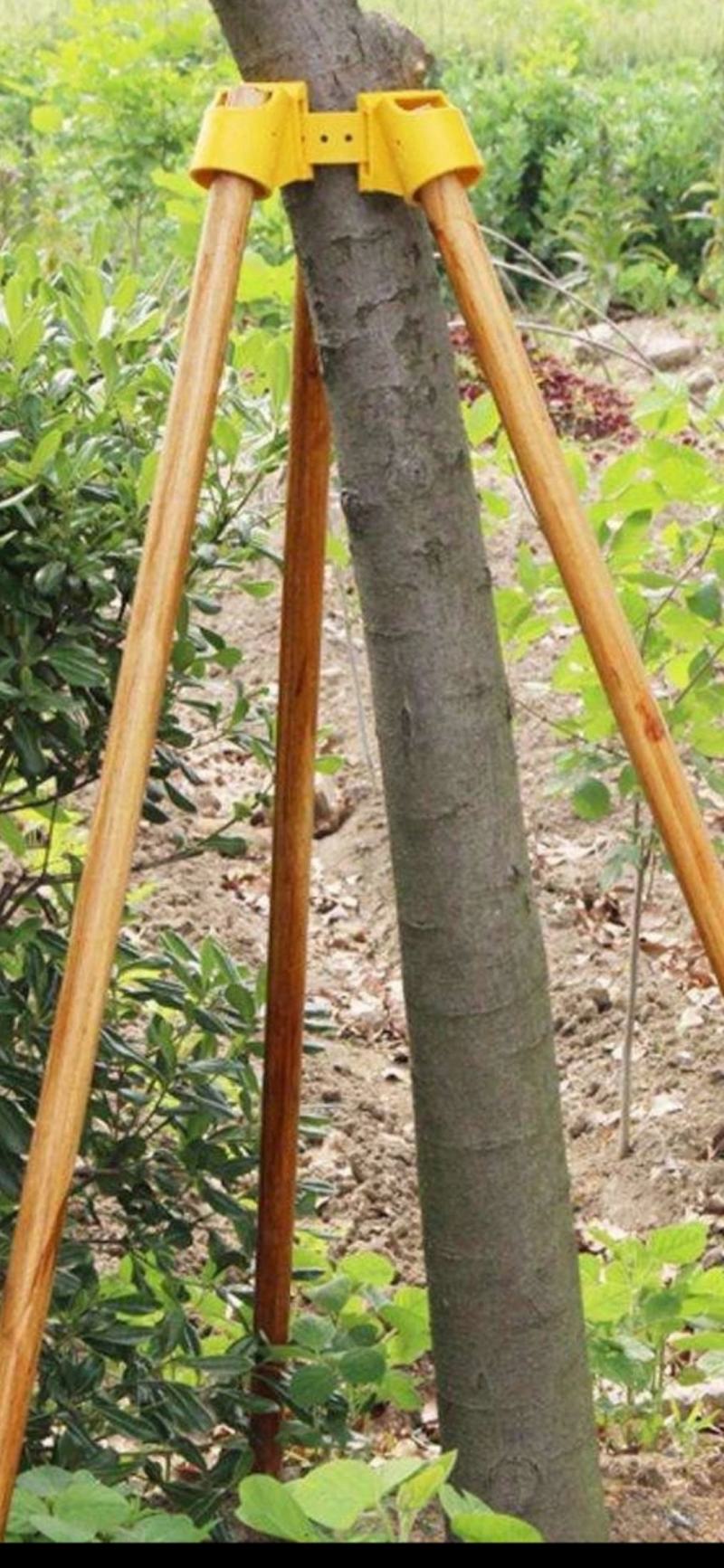 木棒