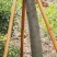 木棒