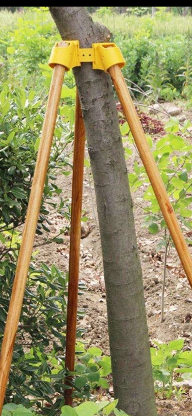 木棒