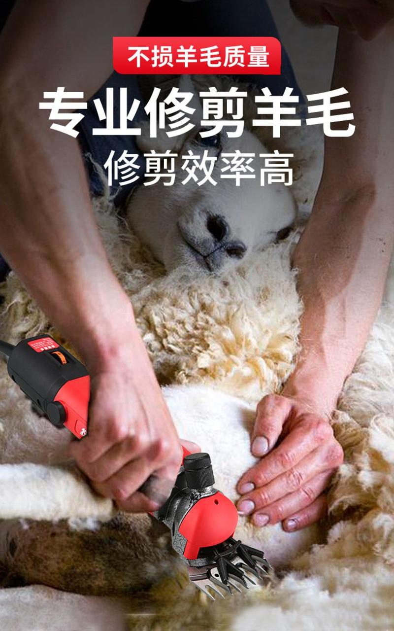 羊毛推子电剪刀大功率羊毛剪电动剪刀剪羊毛的电推子进口电推