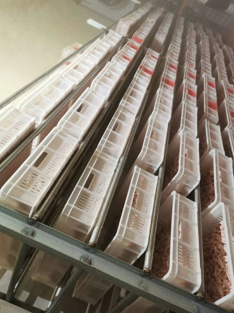 817脱骨鸡爪，脱骨干净，出成率高，纯干货