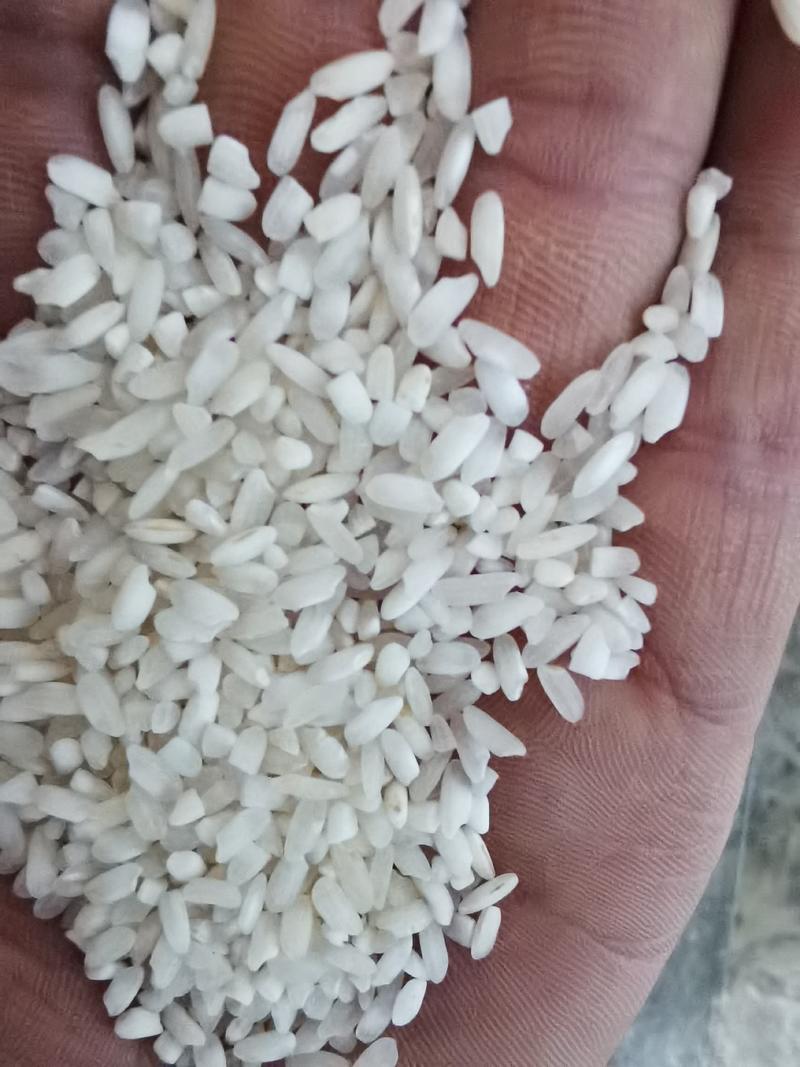 杂交大米，饭堂米