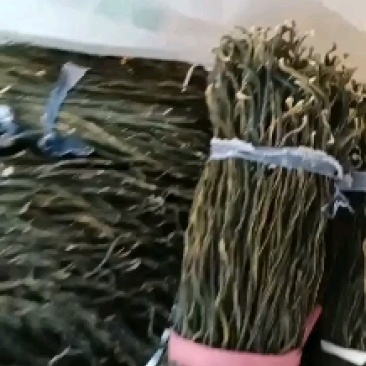 新货新货2023新货开售精品干豆角烘干晒干