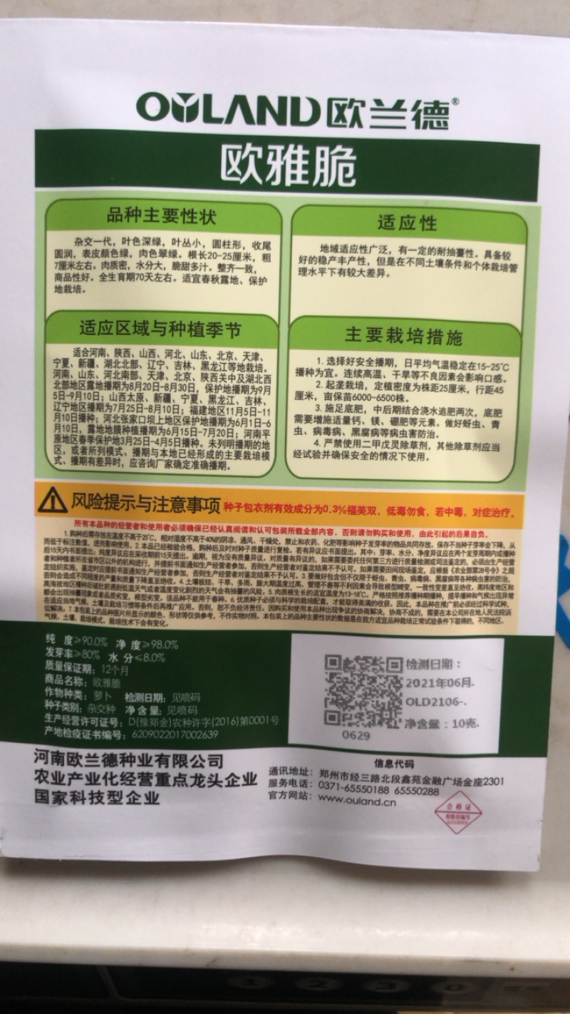 杂交一代水果萝卜翡翠99欧雅脆甜脆鲜食绿肉里外青萝卜