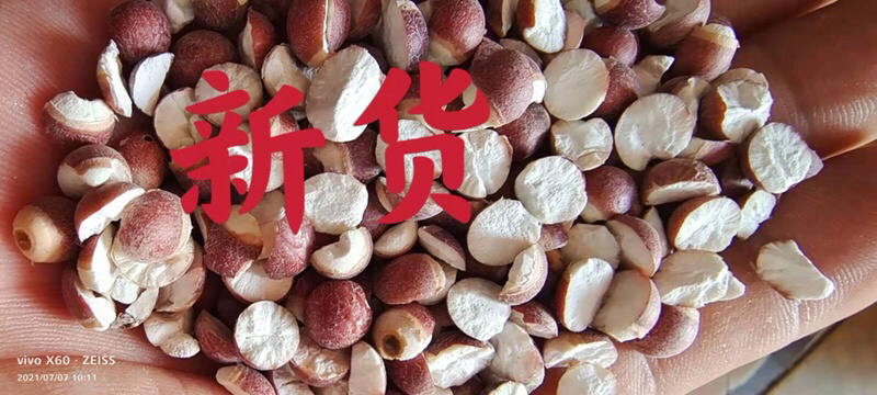 芡实肇实本地货各种规格新货无硫无碎省内包邮