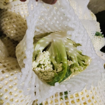 散花大量上市需要的联系